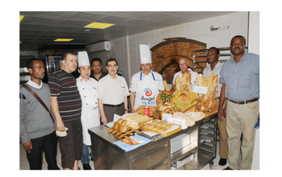 安琪酵母 以技术驱动品牌，蝉联2022食品制造业品牌价值榜首