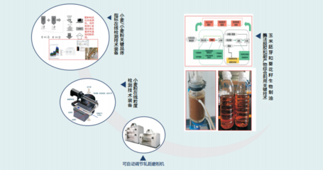 深耕粮油加工，赋能食品制造 五项关键技术成果引领产业升级